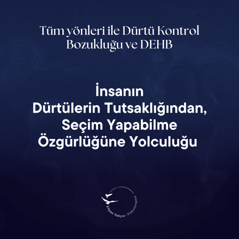 dürtüsellik nedir ?