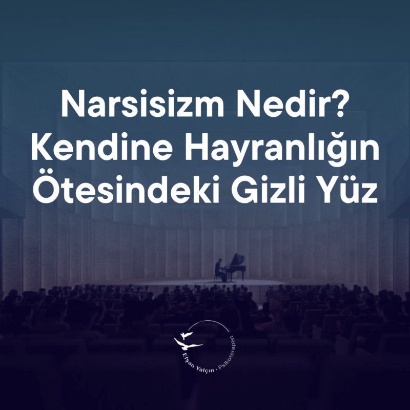 psikanalitik açıdan narsisizm nedir ?