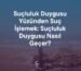 Suçluluk Duygusu Nasıl Geçer?