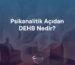 psikanalitik açıdan dehb nedir